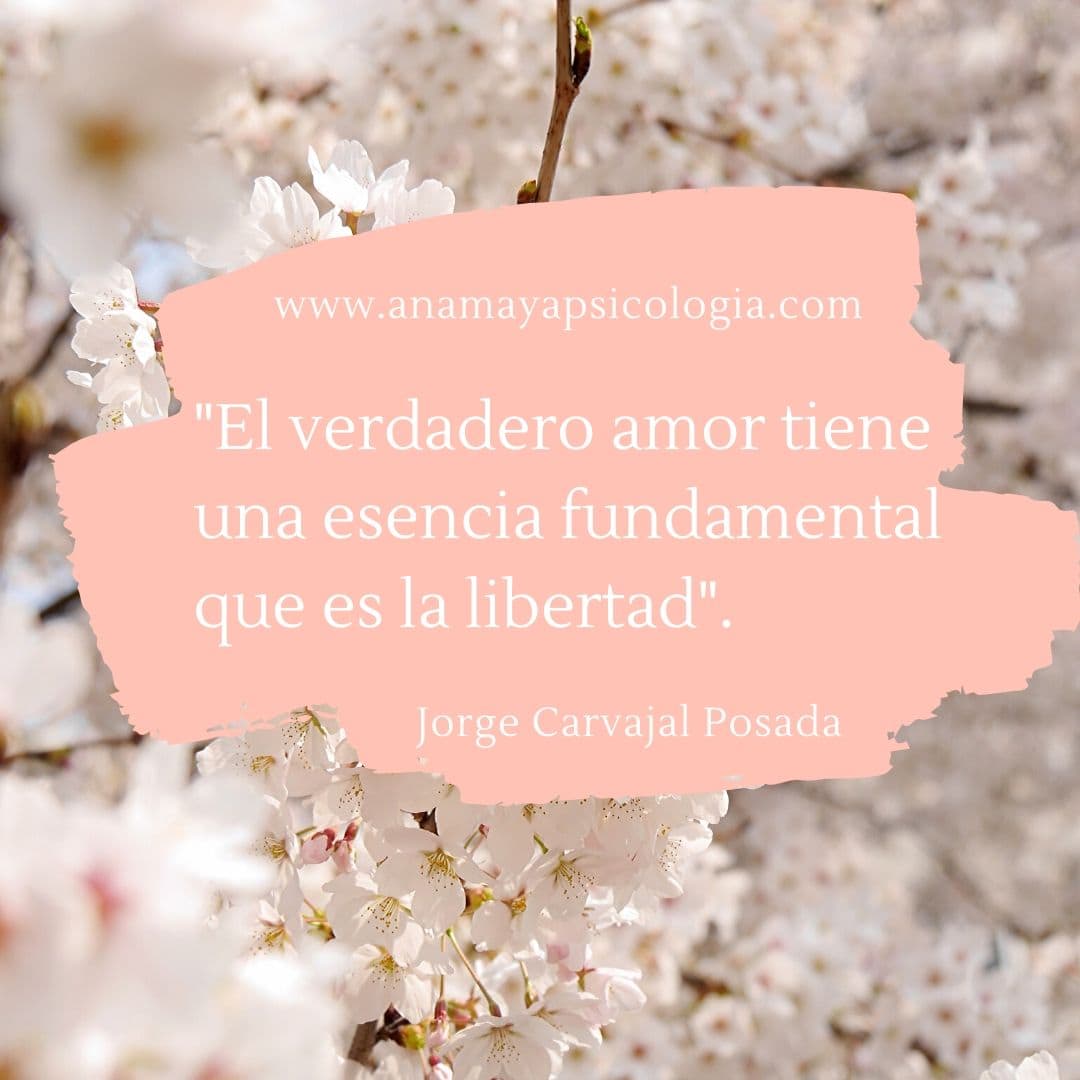 Amor es libertad Amor es libertad