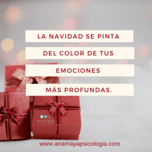 Vive una navidad a tu medida