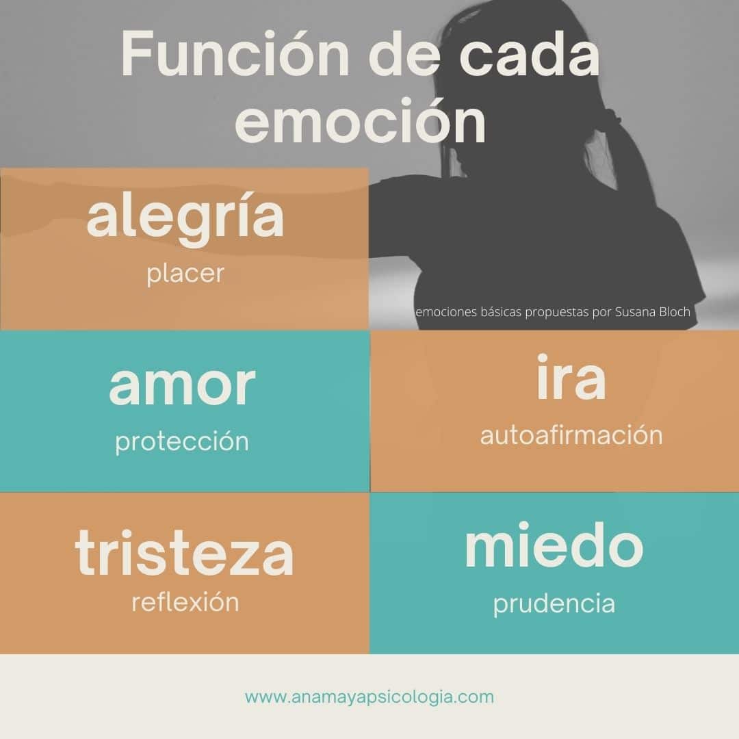 funcion de cada emocion Función de cada emoción