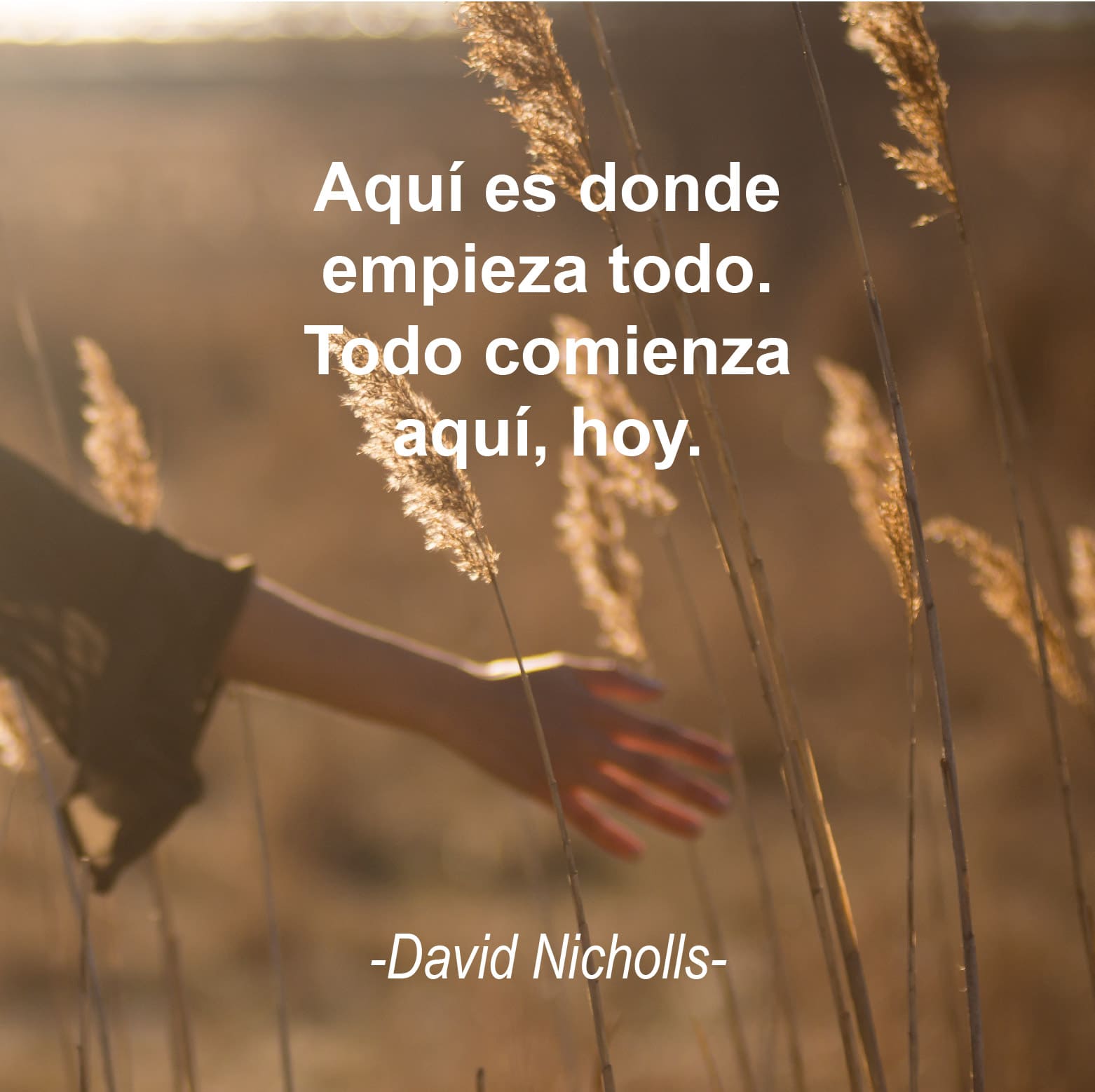 Construye tu pasado y tu futuro en el presente Construye tu pasado y tu futuro en el presente