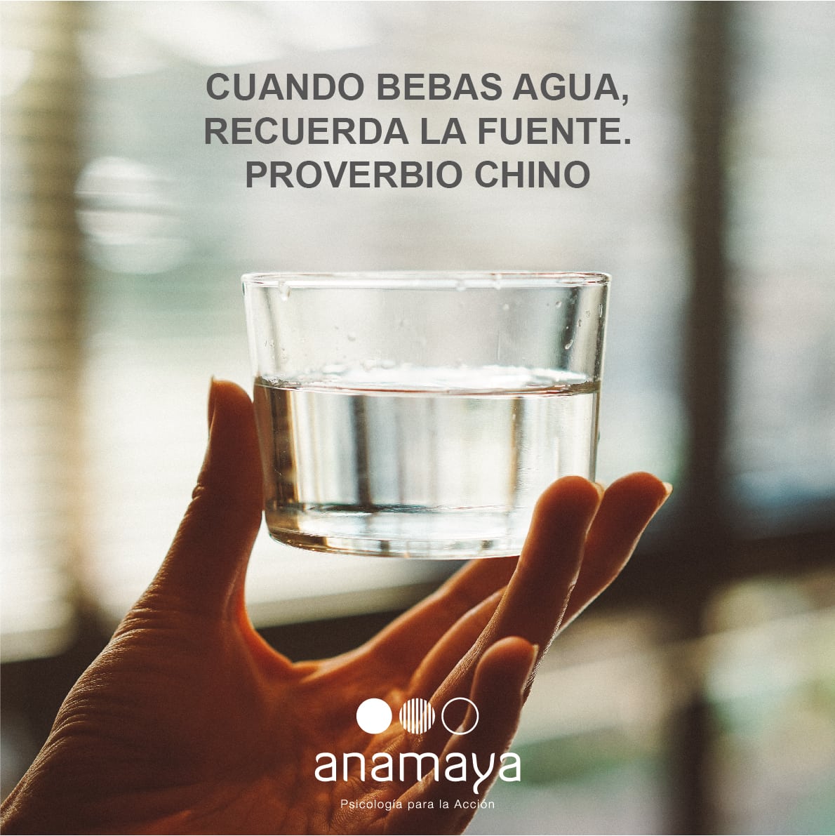Cuando bebas agua, recuerda la fuente. Proverbio Chino